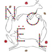 NOEL – Par la compagnie Via Cane